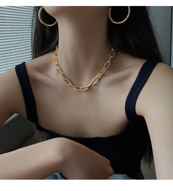 Niche collarbone sweater chain chunky chain necklace - Image 3
