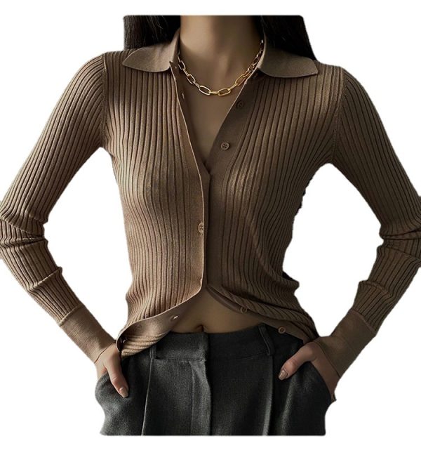 Niche collarbone sweater chain chunky chain necklace - Image 5